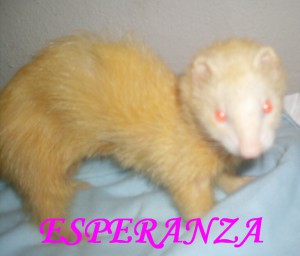 esperanza.jpg