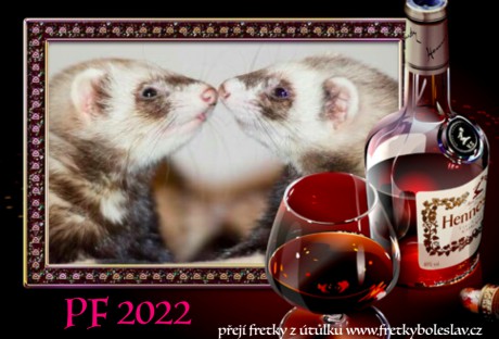Snímek obrazovky 2021-12-31 v 11.26.27