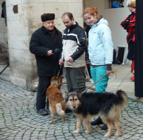 p.Srstka a azýlek Bucifálek