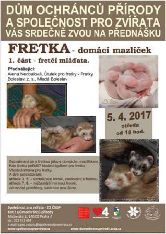 prednaska-1.jpg