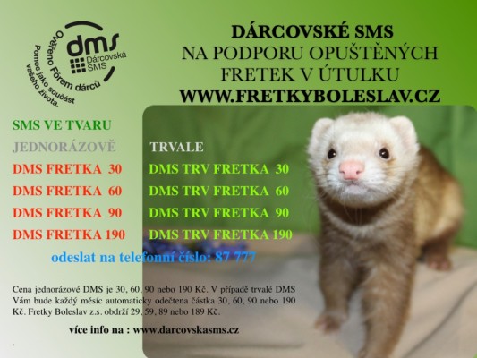 dmsletak23_1.001.jpeg