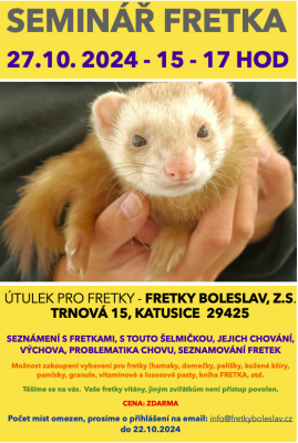 snimek-obrazovky-2024-10-14-v--13.02.02.png